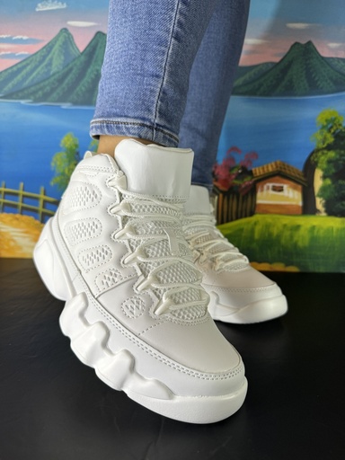 Air Jordan Retro